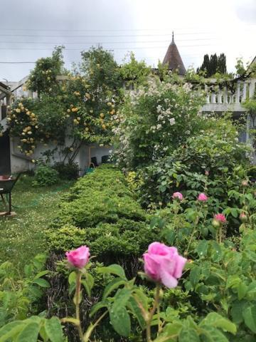 Un Paradis De Verdure En Plein Centre Ville Périgueux Εξωτερικό φωτογραφία